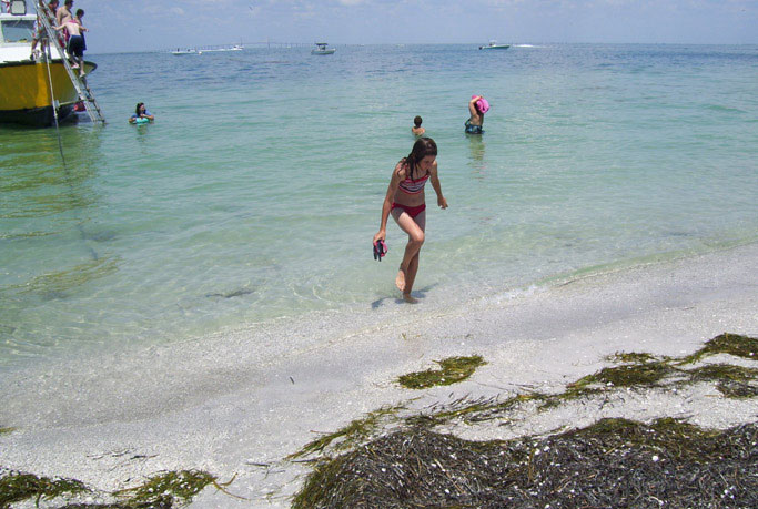 Beach at Egmont Key during the daily boat trip